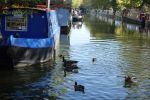 PICTURES/London - Little Venice/t_DSC03347.JPG